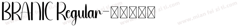 BRANIC Regular字体转换